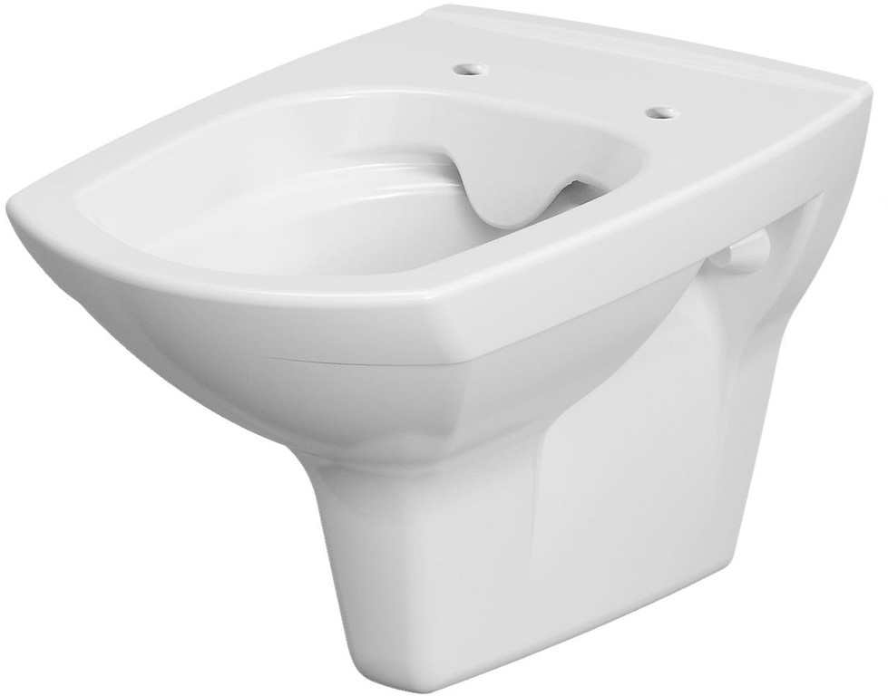 Obrázok /SET/GEBERIT - SET KOMBIFIXBasic vrátane ovládacieho tlačidla DELTA 21 Biele pre závesné WC CERSANIT CLEANON CARINA + SEDADLO (110.100.00.1 21BI CA1)